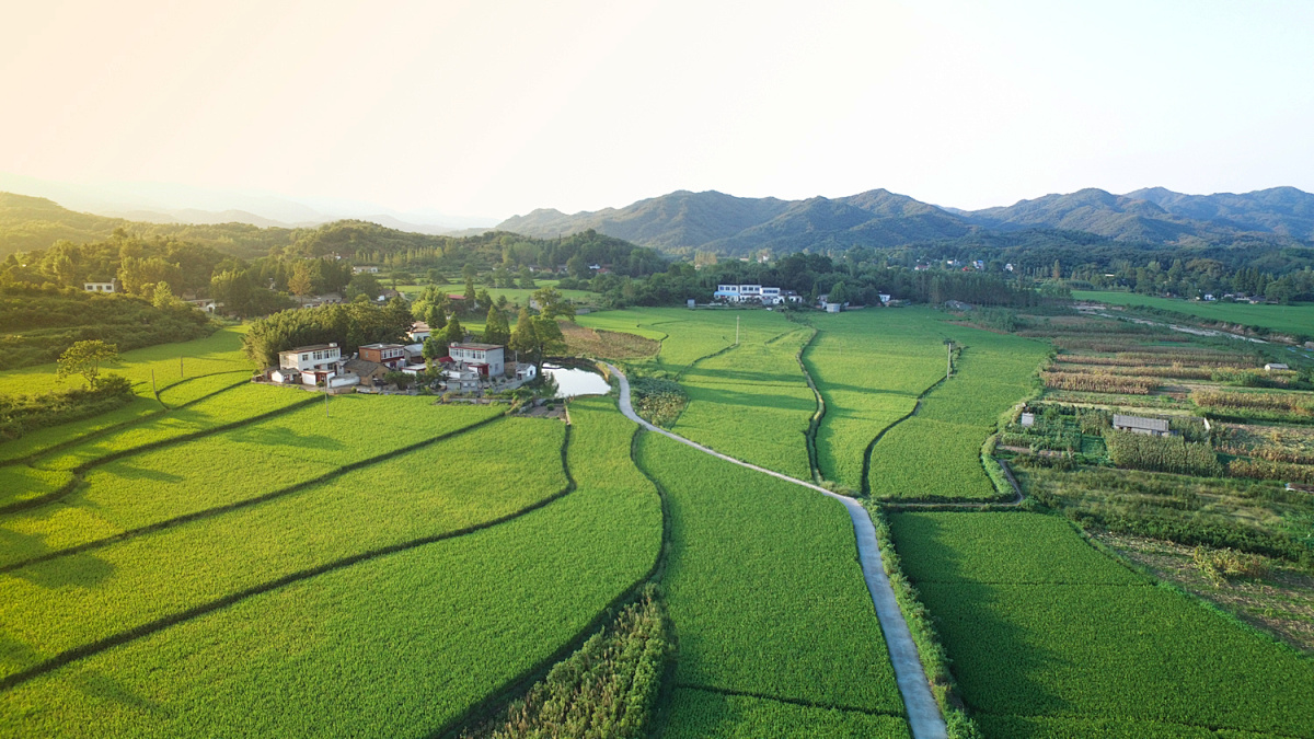 张马村